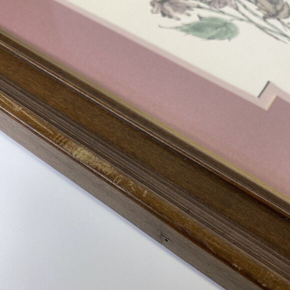 Jan Mintz Pen Ink Watercolor Morning Hummer Flowers Hummingbird Framed Art - Picture 12 of 12